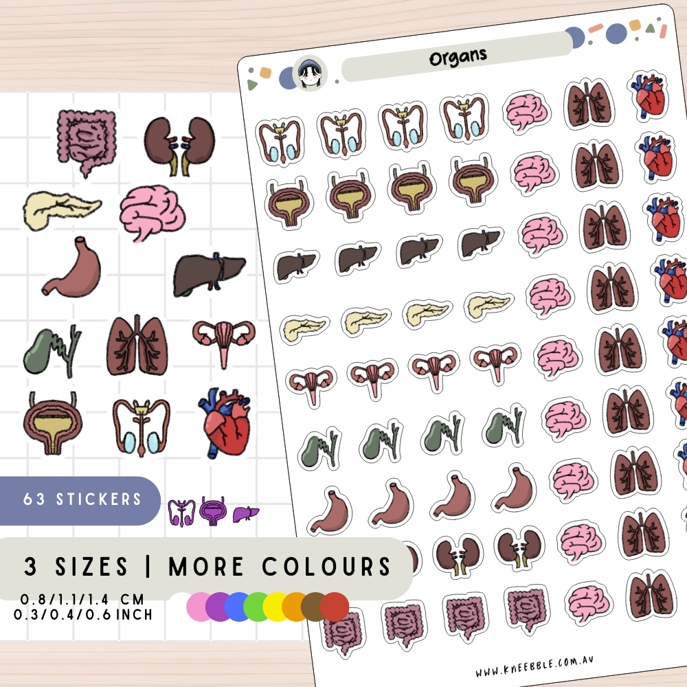 Organ Body System Planner Stickers