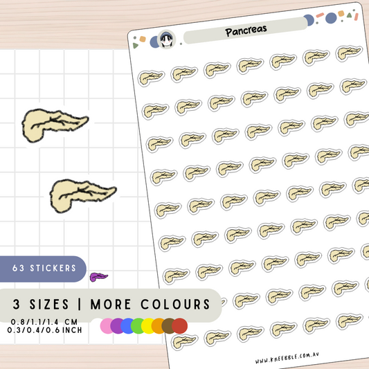 Pancreas Endocrine Planner Stickers