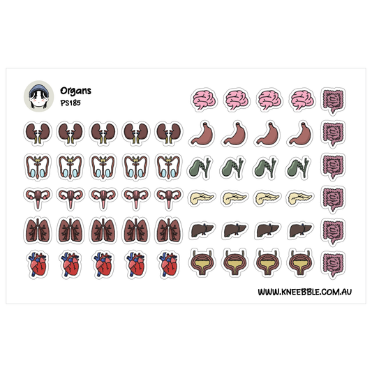 a collection of cartoon-style stickers depicting various human organs, including the brain, stomach, liver, kidney, and heart.