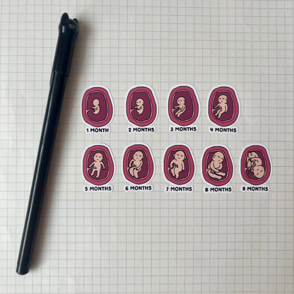 A collection of nine stickers depicting the stages of human development from 1 month to 9 months, arranged on a grid-like background.