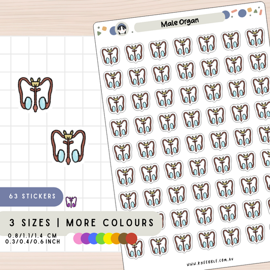 Male Reproductive System Planner Stickers