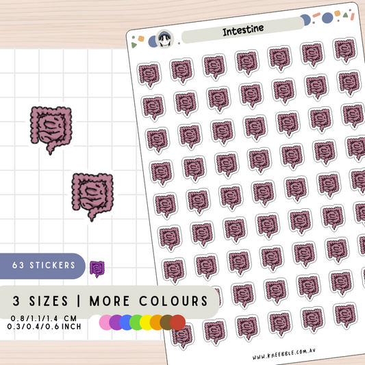 Intestine Organ Planner Stickers