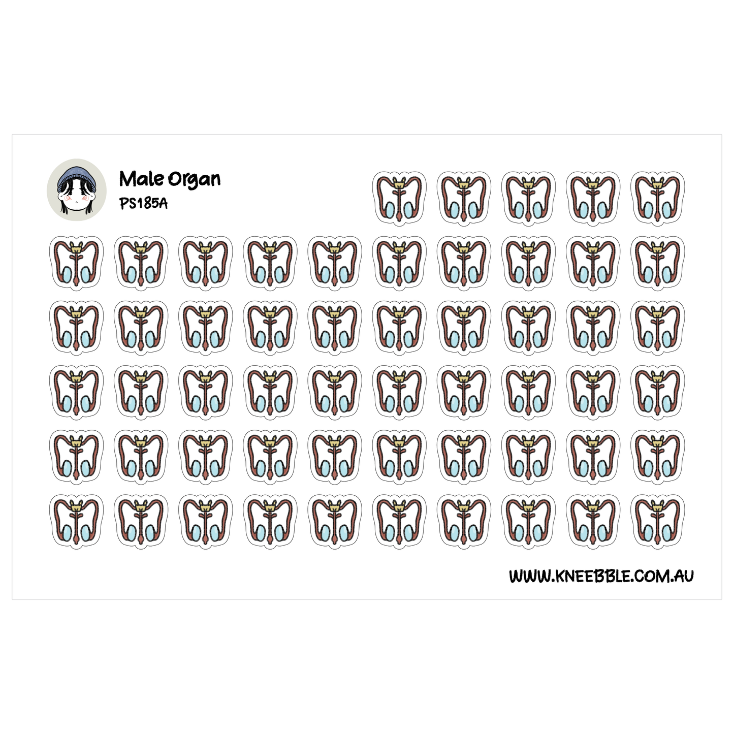 a grid of small, stylized illustrations of male organs, arranged in a repeating pattern.