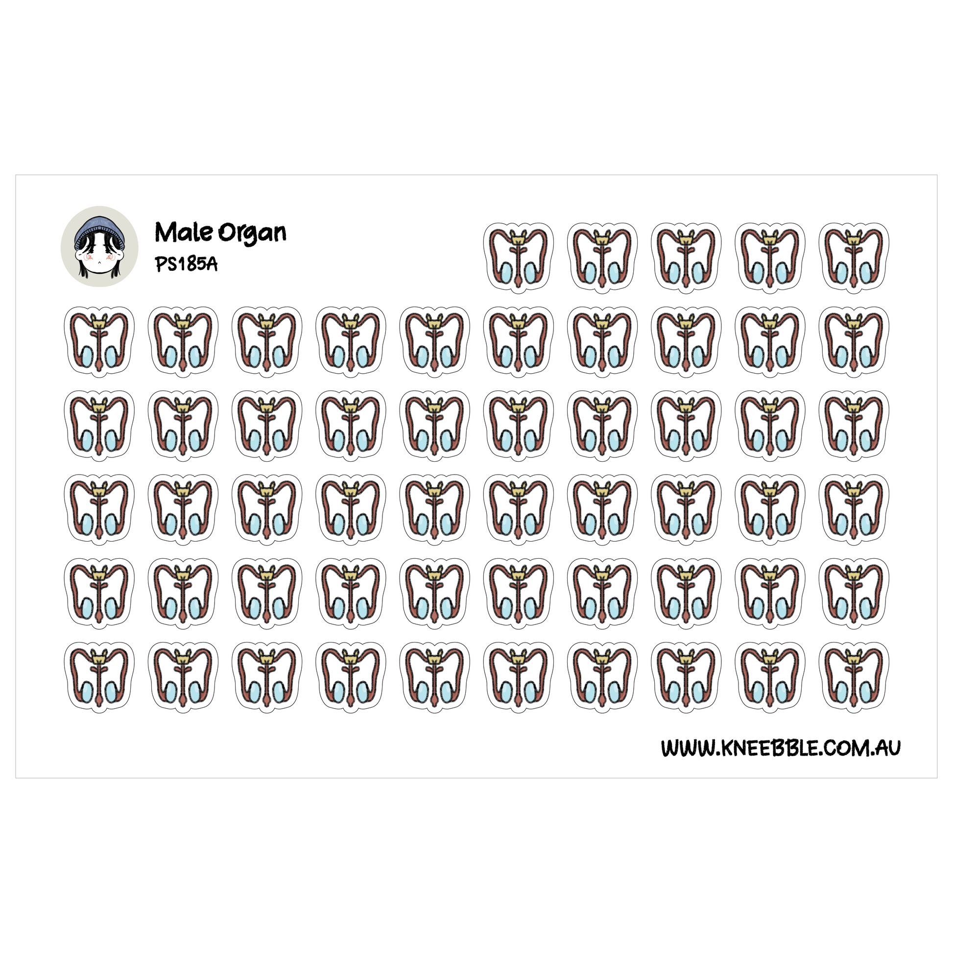 a grid of small, stylized illustrations of male organs, arranged in a repeating pattern.