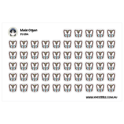 a grid of small, stylized illustrations of male organs, arranged in a repeating pattern.