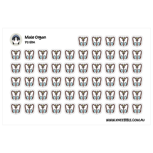 a grid of small, stylized illustrations of male organs, arranged in a repeating pattern.