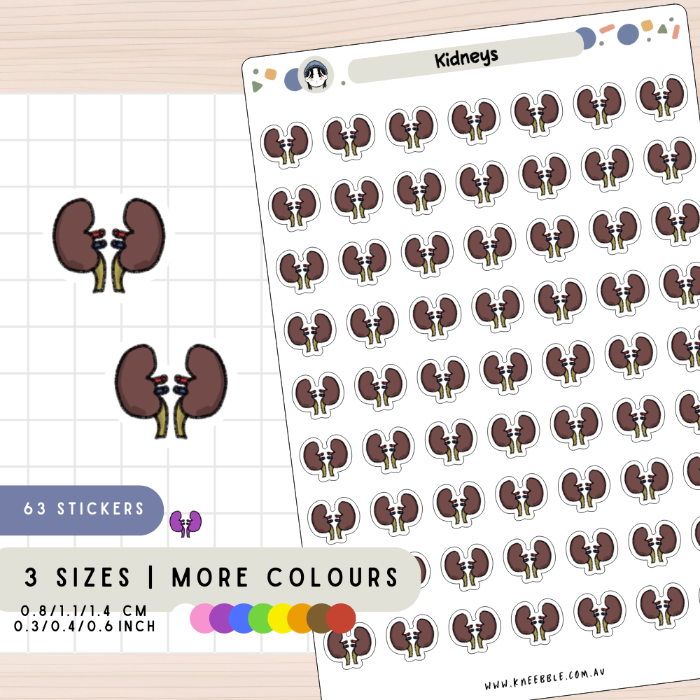 Kidney Health Planner Stickers