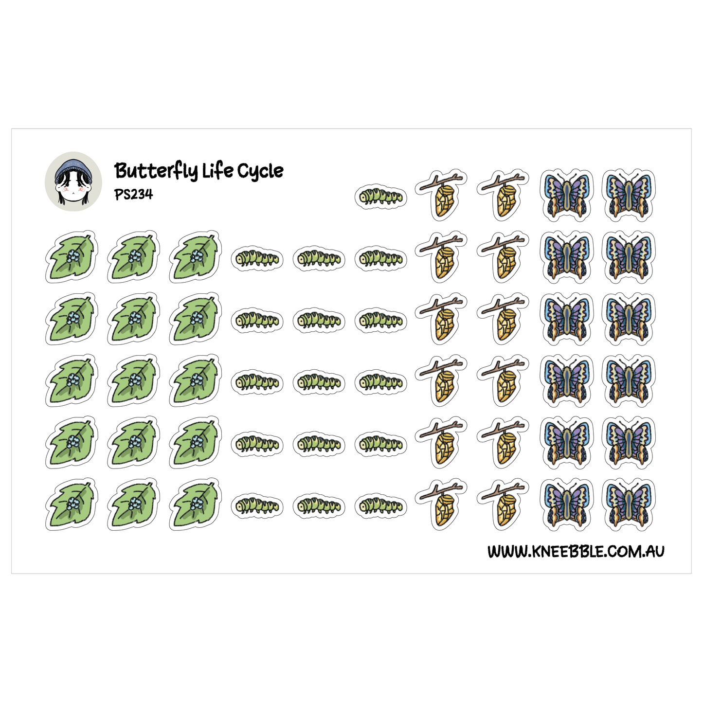 Butterfly Life Stages Stickers - Egg, Caterpillar, Chrysalis Pupa, Butterfly - Science Education Teacher