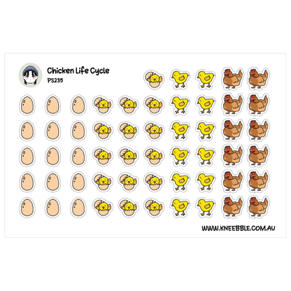 Chicken Life Cycle Planner Stickers - Egg, Hatchling, Chick & Hen - Educational Stickers