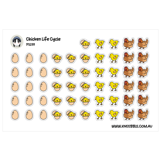 Chicken Life Cycle Planner Stickers - Egg, Hatchling, Chick & Hen - Educational Stickers
