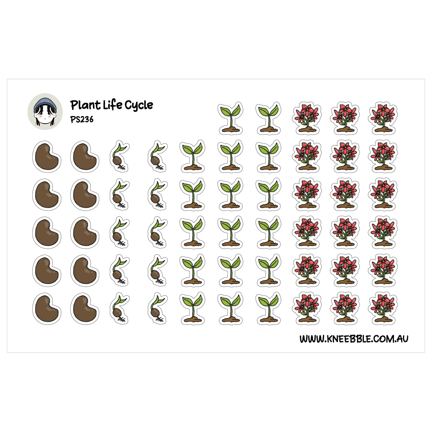 Plant Life Cycle Planner Stickers - Seed Sprout Seedling Growth Sticker Icons