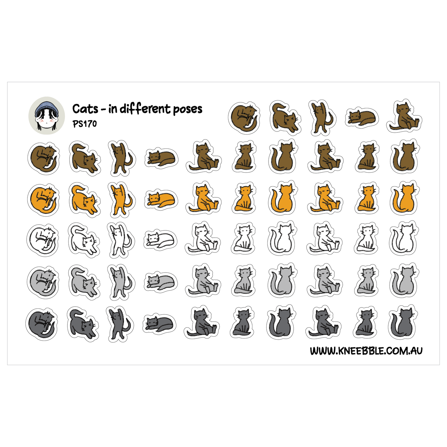 a collection of various cat poses, including sitting, lying, and standing, as well as different color variations of cats.