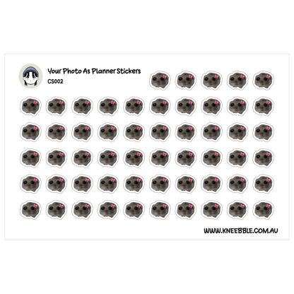 a grid of stickers with black and white images of pugs, arranged in a repeating pattern.
