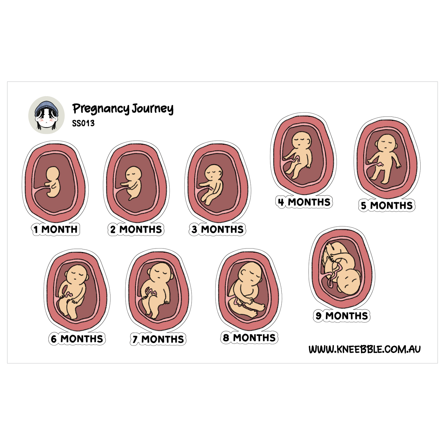 The image is a visual representation of the pregnancy journey, depicting the development of a baby from 1 month to 9 months. It shows the growth and changes that occur during this period, providing a clear and concise overview of the stages from the initial stages of pregnancy to the final stages of birth.